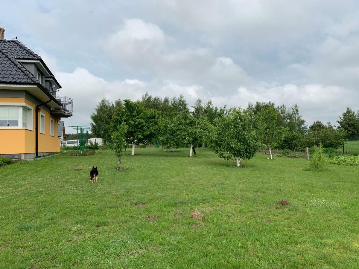 Agroturystyka Nad Wielkim Szelagiem Stare Jabłonki Esterno foto